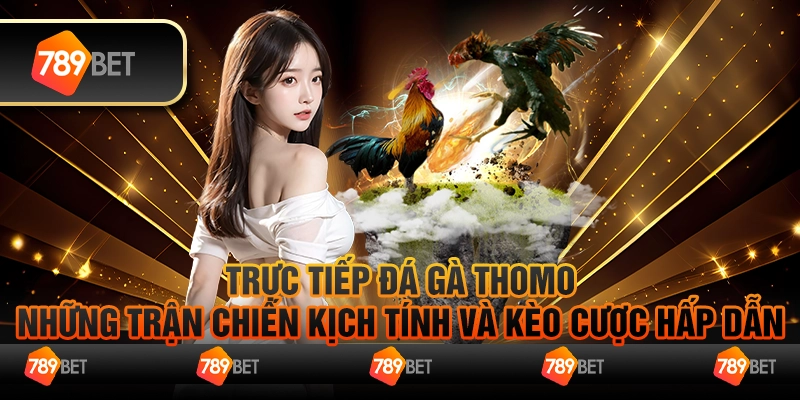 Trực Tiếp Đá Gà Thomo Những Trận Chiến Kịch Tính Và Kèo Cược Hấp Dẫn