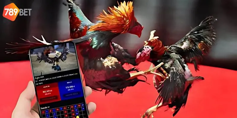 Lưu ý nhà cái dành cho bạn để tăng khả năng thắng cược