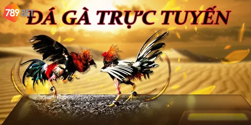 Đá gà trực tuyến - bộ môn cá cược hấp dẫn
