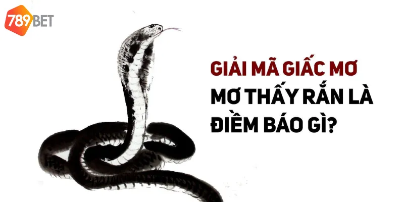 Điềm báo phong thủy của việc nằm mơ rắn