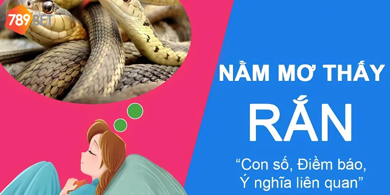 Ý nghĩa của việc mơ gặp rắn