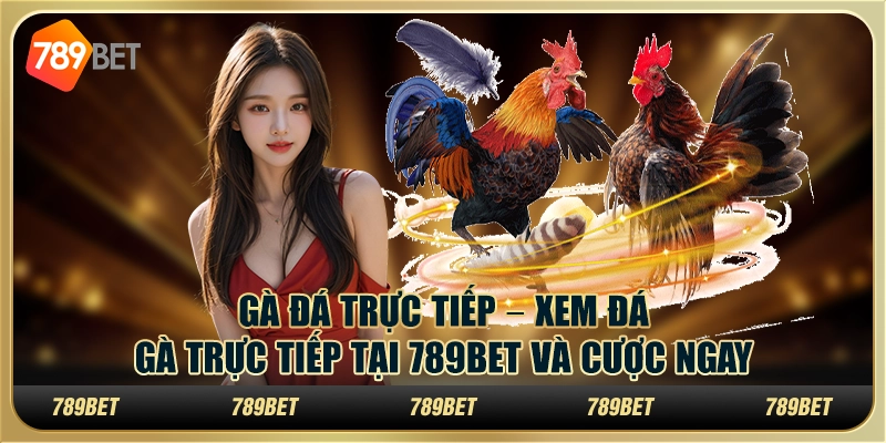 Gà Đá Trực Tiếp Xem Đá Gà Trực Tiếp Tại 789bet Và Cược Ngay