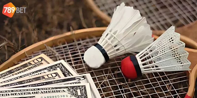 Giới hạn ngân sách và chọn nền tảng uy tín