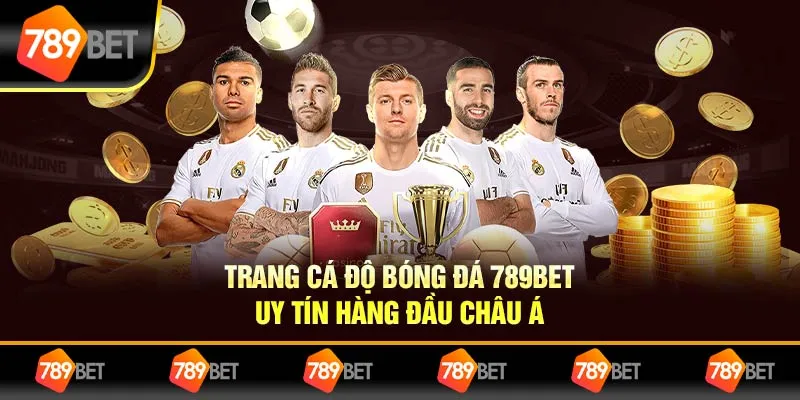 Trang Cá Độ Bóng Đá 789bet - Uy Tín Hàng Đầu Châu Á