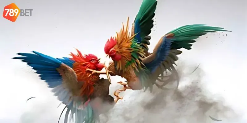 Lựa chọn chiến kê mạnh giúp bạn dễ dàng thắng cược