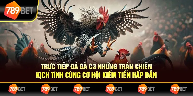 Trực Tiếp Đá Gà C3 Những Trận Chiến Kịch Tính Cùng Cơ Hội Kiếm Tiền Hấp Dẫn