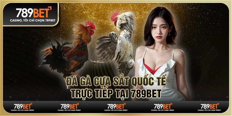Đá Gà Cựa Sắt Quốc Tế - Xem Trực Tiếp Và Cá Cược Tại 789bet