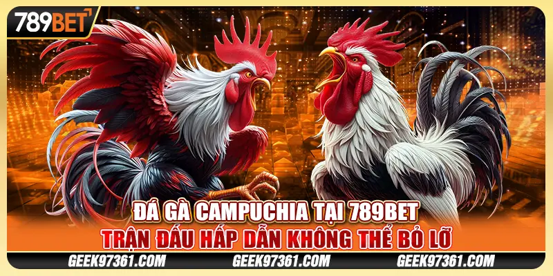 Đá Gà Campuchia Tại 789bet Trận Đấu Hấp Dẫn Không Thể Bỏ Lỡ