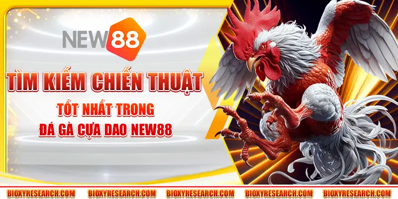 Tìm Kiếm Chiến Thuật Tốt Nhất Trong Đá Gà Cựa Dao New88