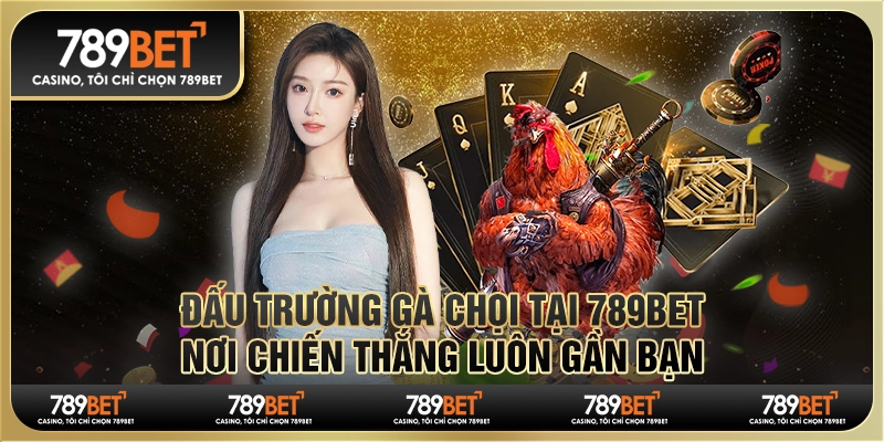 Đấu Trường Gà Chọi Tại 789bet, Nơi Chiến Thắng Luôn Gần Bạn