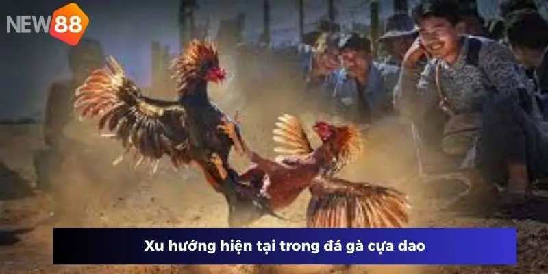 Xu hướng hiện tại