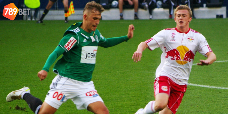 Các phần mềm được cung cấp giúp bạn dự đoán chính xác