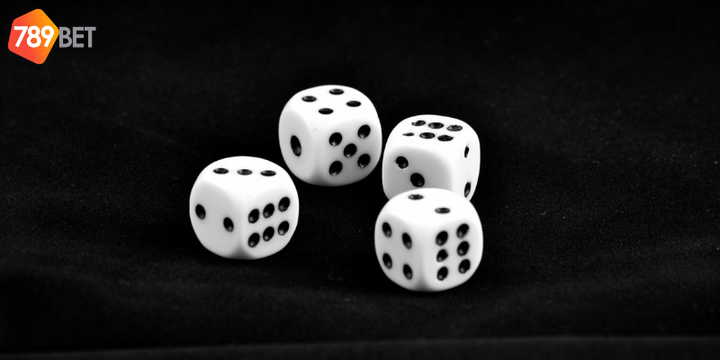 Đa dạng loại cược và lợi ích từ nhà cái