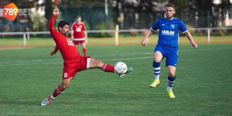 Hệ thống soi kèo giúp tăng khả năng thắng