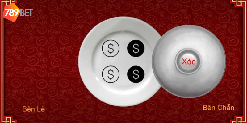 Hỗ trợ trên cả hai nền tảng phổ biến giúp người chơi dễ tiếp cận