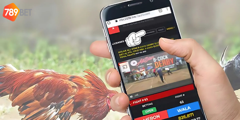 Hướng dẫn cá cược từ nhà cái giúp bạn tham gia dễ dàng