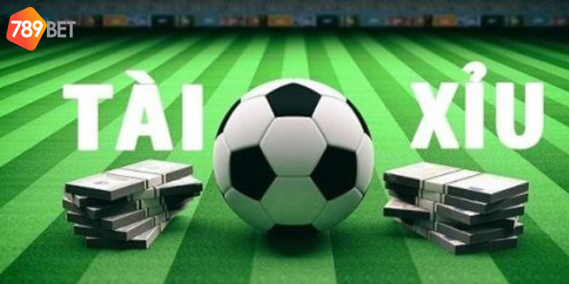 Nắm rõ các loại cược cơ bản để tham gia hợp lý