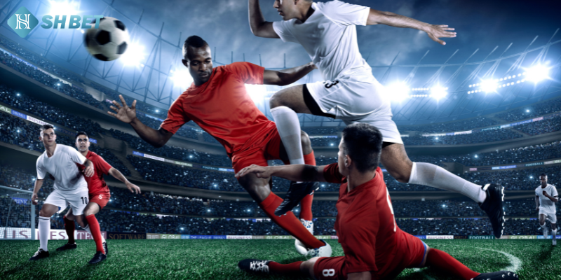 Nghiên cứu thông tin đội bóng và biến động kèo