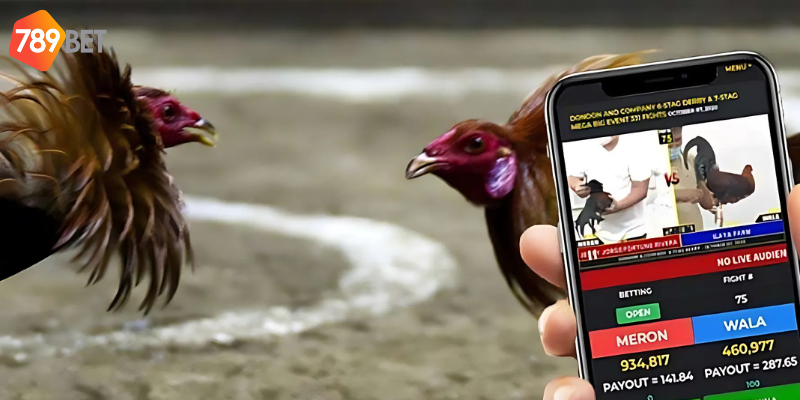 Những công cụ bảo vệ giúp bạn tham gia cá cược an toàn