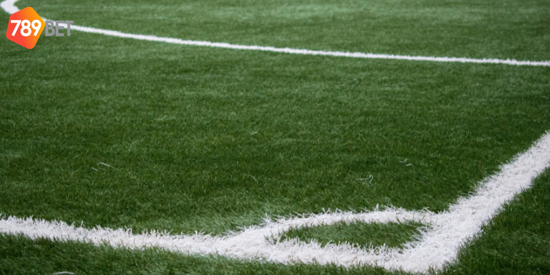 Phân tích đội hình và đặt kèo chính xác