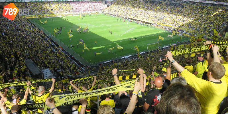 Phân tích đội hình và xem xét ngoại cảnh