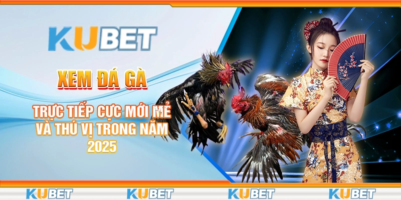 Xem Đá Gà Trực Tiếp Cực Mới Mẻ Và Thú Vị Trong Năm 2025