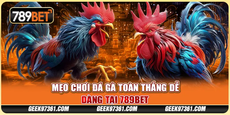 Mẹo Chơi Đá Gà Toàn Thắng Dễ Dàng Tại Nền Tảng 789bet
