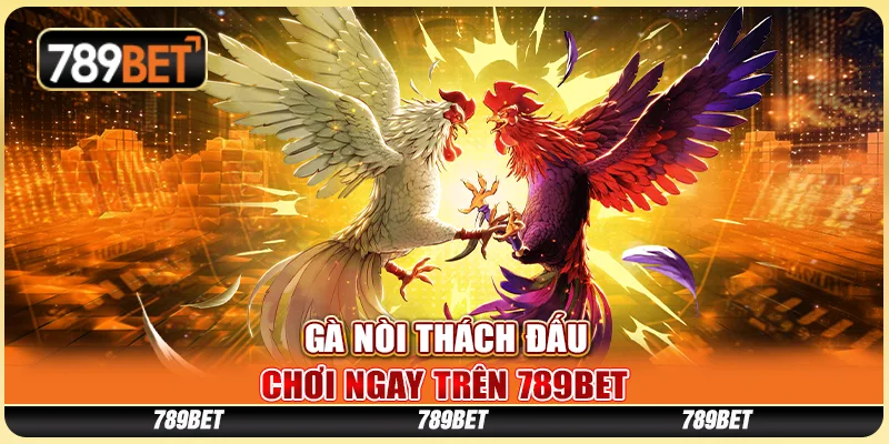Gà Nòi Thách Đấu - Chơi Ngay Trên Nền Tảng Cá Cược 789bet