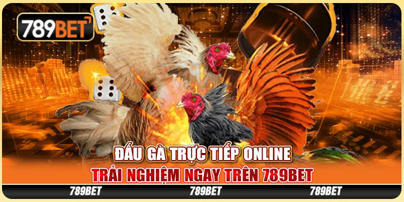 Đấu Gà Trực Tiếp Online - Trải Nghiệm Ngay Trên 789bet