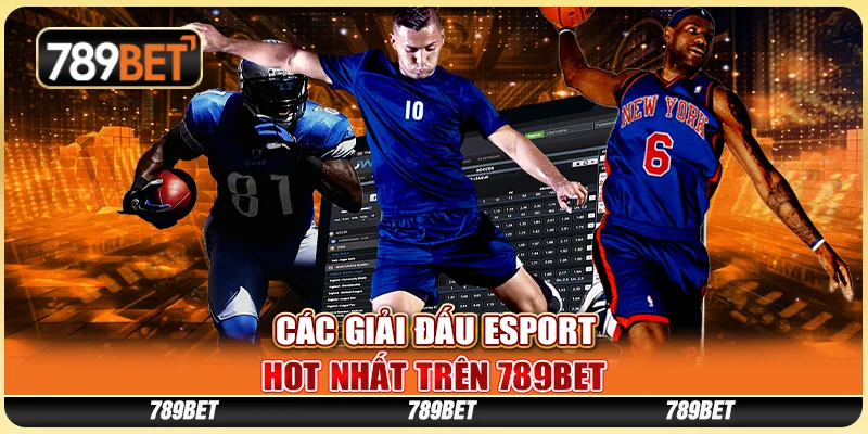 Các Giải Đấu Esport Hot Nhất Trên Nhà Cái Trực Tuyến 789bet