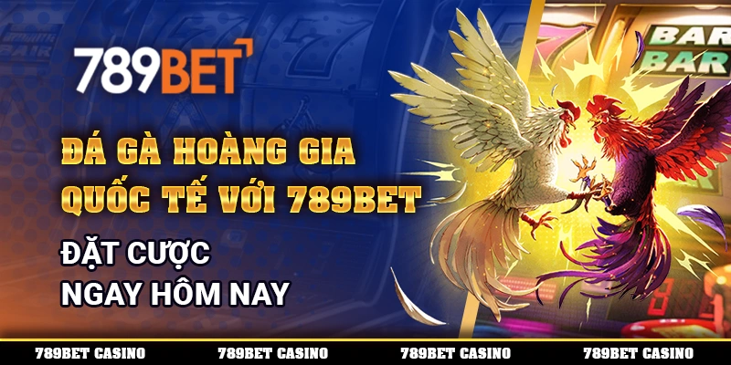 Đá Gà Hoàng Gia Quốc Tế Với 789bet – Đặt Cược Ngay Hôm Nay