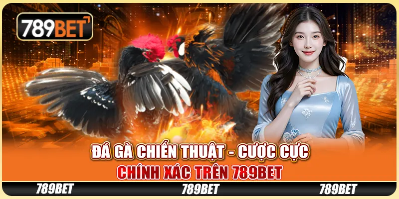 Đá Gà Chiến Thuật - Cược Cực Chính Xác Trên 789bet