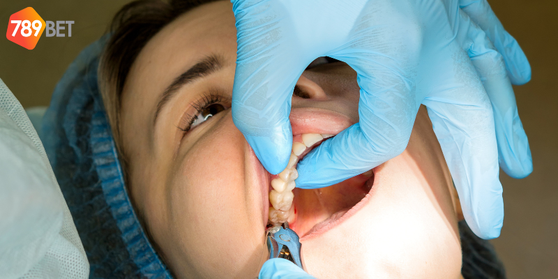 Áp dụng giấc mơ vào hệ thống cá cược