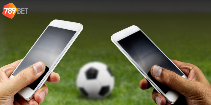 Cá cược bóng đá Hà Lan Eredivisie cùng nhà cái