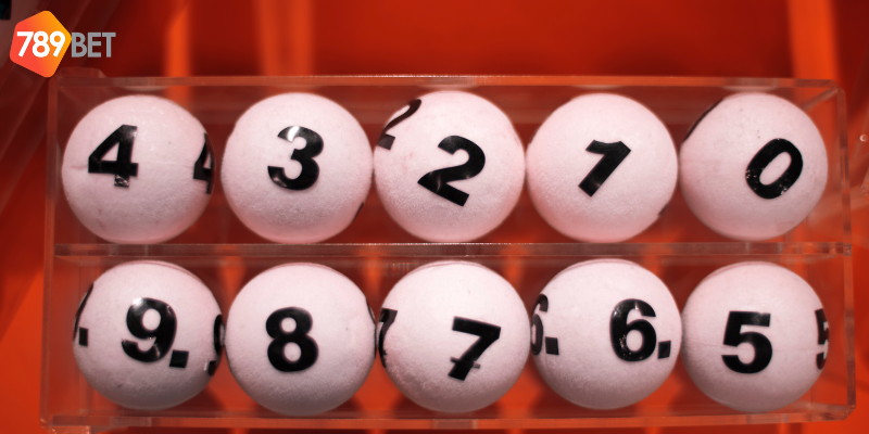 Khám phá lô gan miền Trung cùng nhà cái