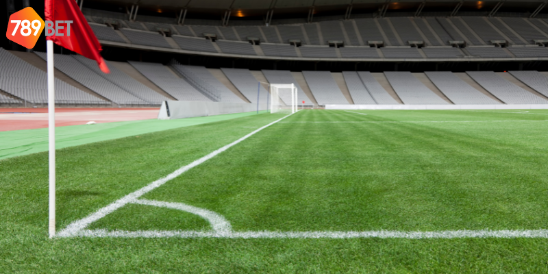 Nắm vững thống kê và quản lý cược