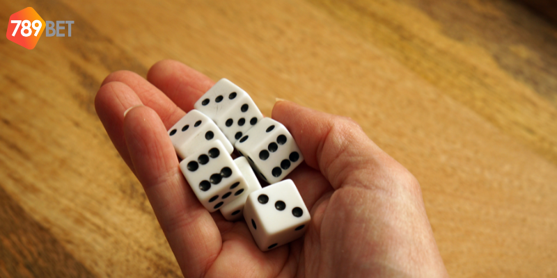 Quy trình cược và cách lắc Tài Xỉu hiệu quả