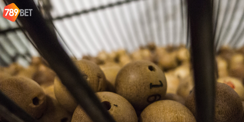 Theo dõi thống kê và sử dụng công cụ hỗ trợ