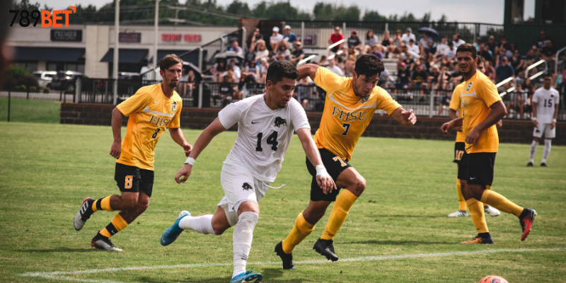 Cách đặt cược với tỷ lệ hấp dẫn