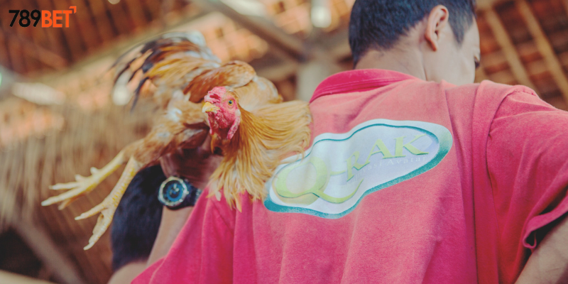 Các bước đặt cược đơn giản