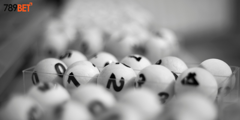 Lựa chọn số và lưu ý khi tham gia cược