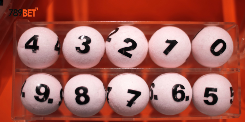 Sử dụng thống kê và chiến lược cược