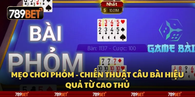 Mẹo chơi Phỏm - Chiến thuật câu bài hiệu quả từ cao thủ