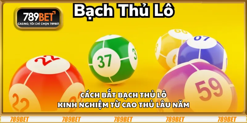 Cách bắt bạch thủ lô – Kinh nghiệm từ cao thủ lâu năm