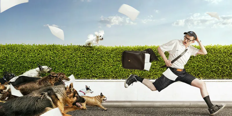 Nằm mơ thấy chó cắn vào tay