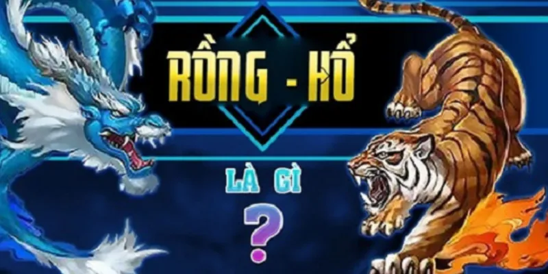 Các dạng cược phổ biến khi chơi Rồng Hổ