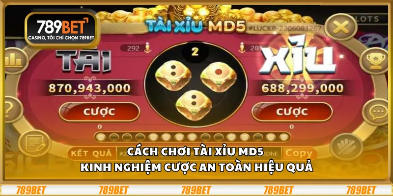 Cách chơi Tài Xỉu MD5 - Kinh nghiệm cược an toàn hiệu quả