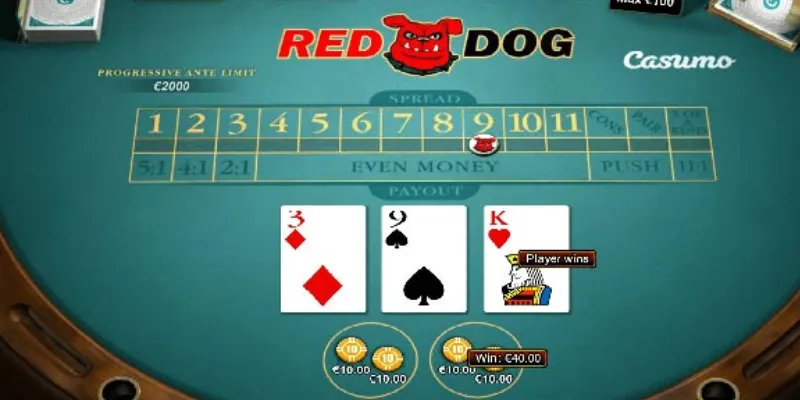 Cẩm nang chơi Red Dog cơ bản cho người mới