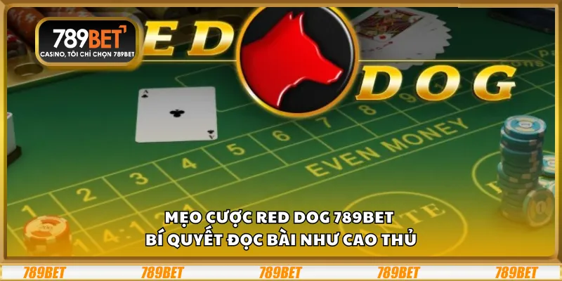 Mẹo cược Red Dog 789Bet – Bí quyết đọc bài như cao thủ