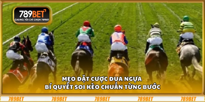 Mẹo đặt cược đua ngựa - Bí quyết soi kèo chuẩn từng bước